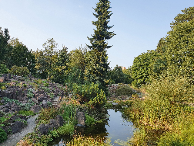 Der botanische Garten in Dresden