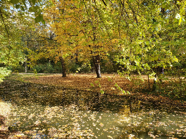 Großer Garten im Herbst