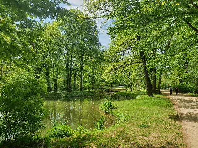 Sommerlicher Großer Garten